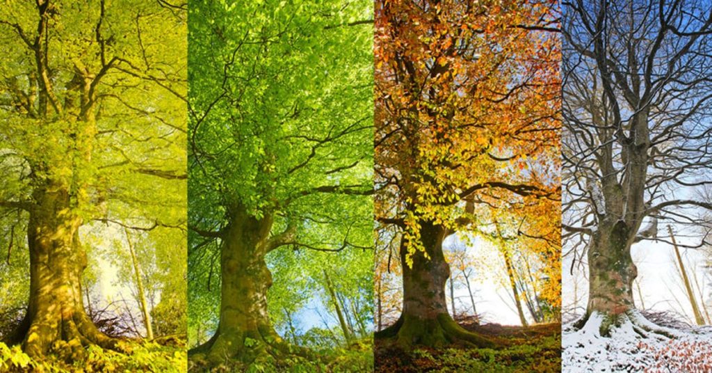 What will my electric bill look like after solar panels Freedom Forever