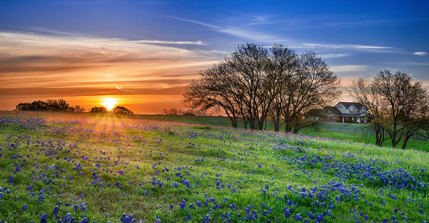 are-solar-panels-worth-it-in-texas-freedom-forever